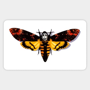 Death's Head Moth Magnet